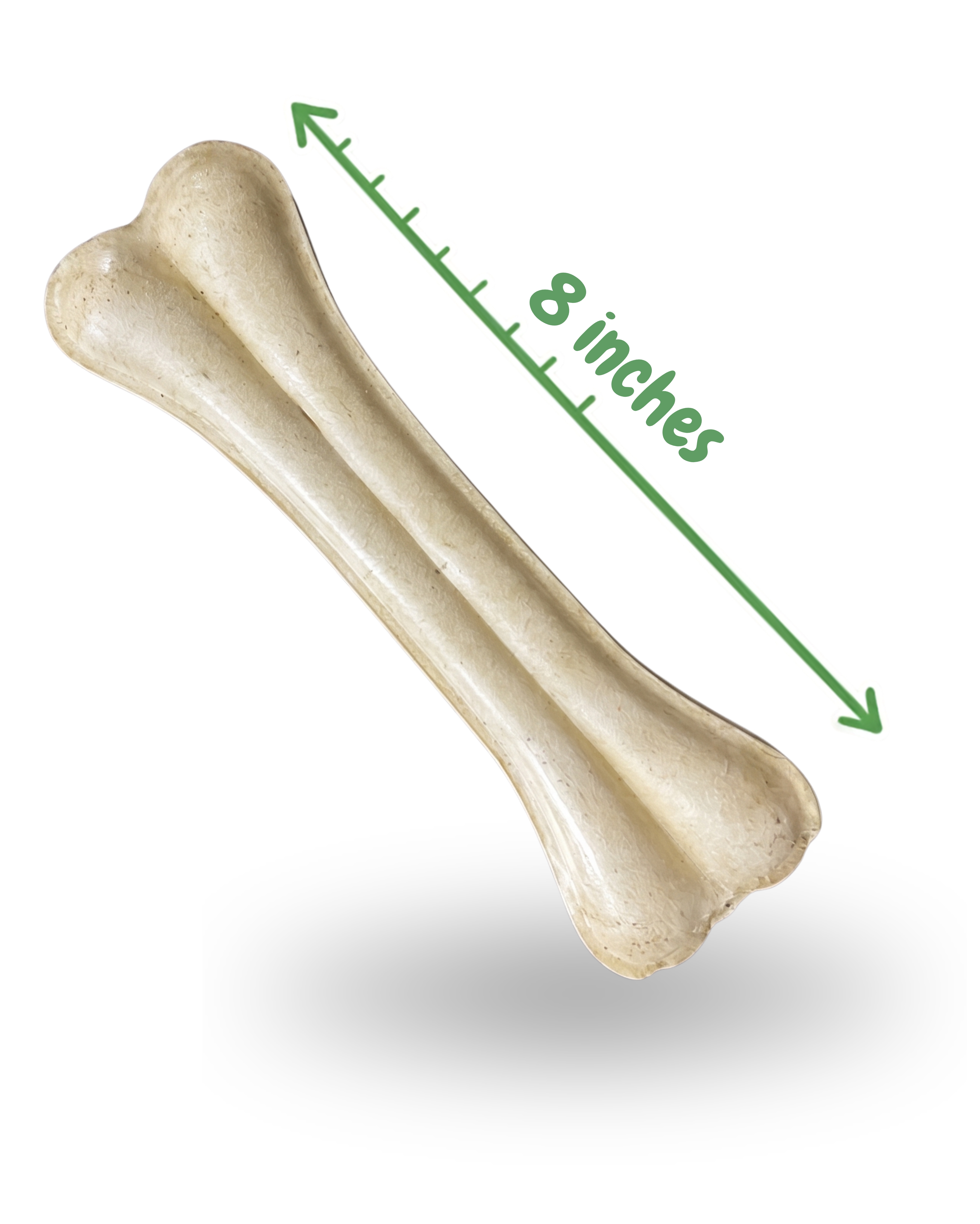 Premium Dog Chew Bone – 8 Inch (Pack of 1)