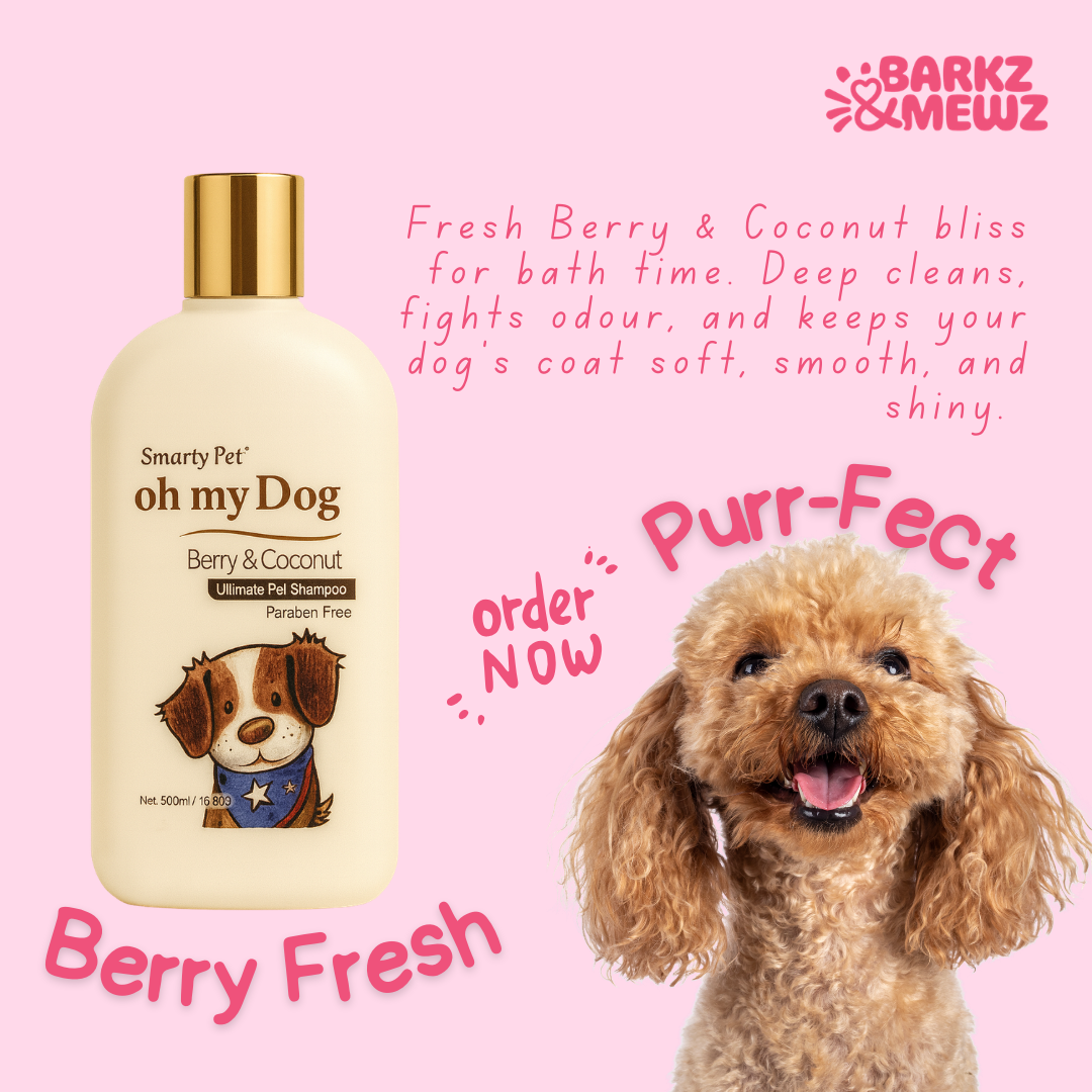 OMD Shampoo 500ml Berry & Coconut