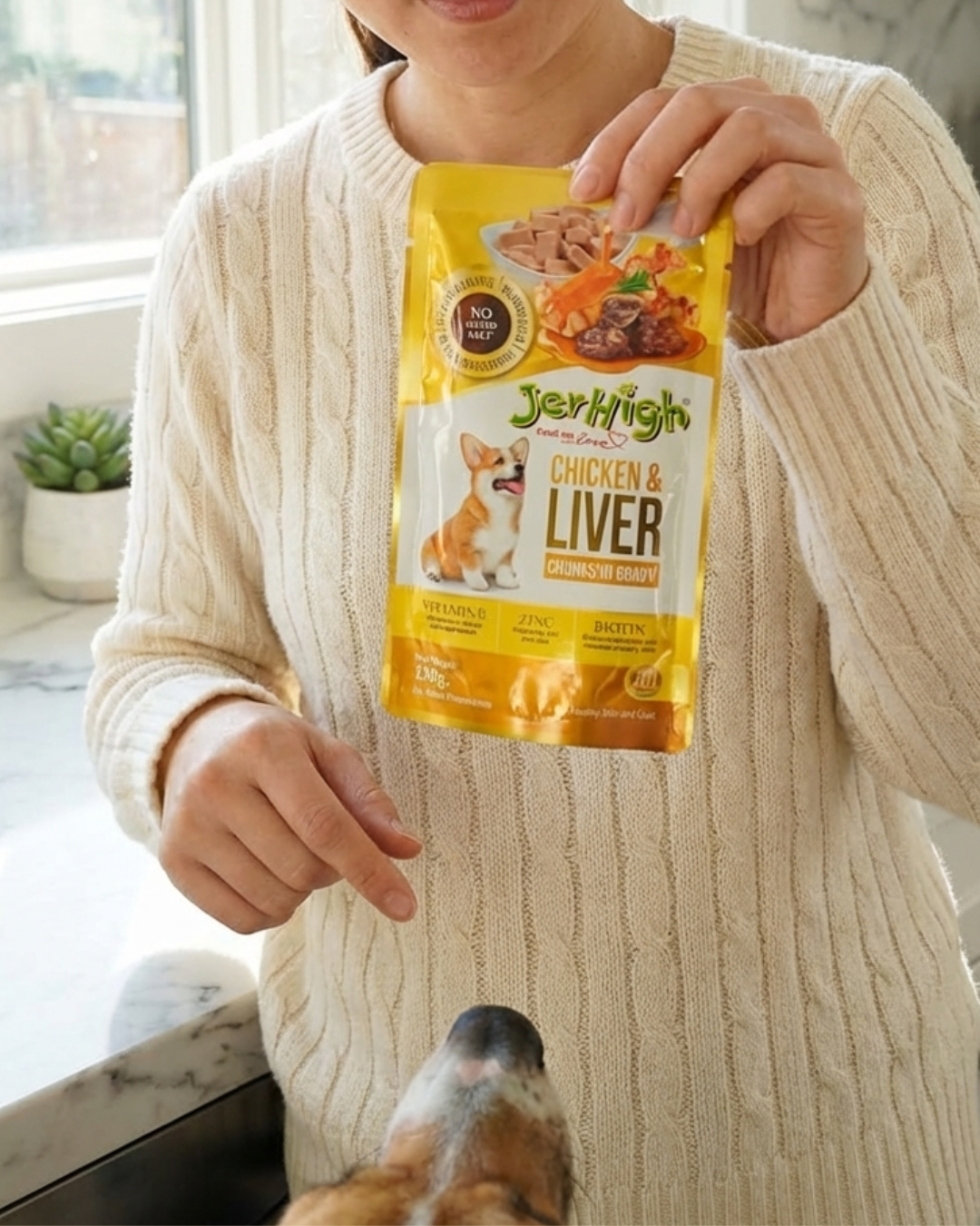 Jerhigh Gravy 120g Chicken & Liver view 6