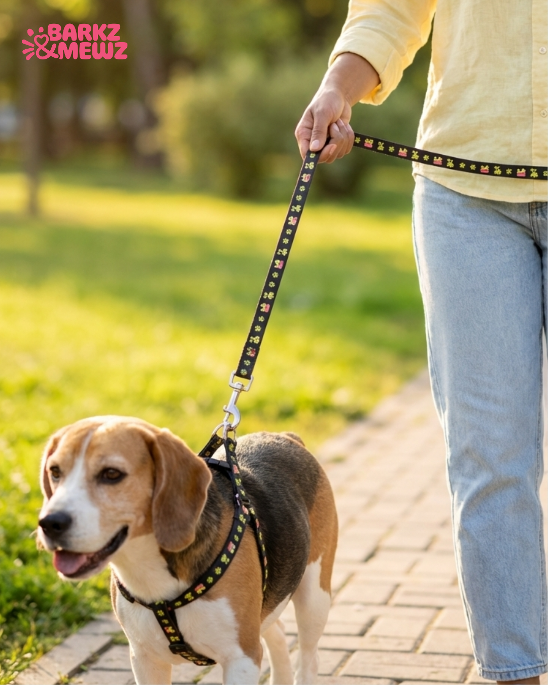 Harness & Leash – Soft Nylon (S, 10mm) view 3