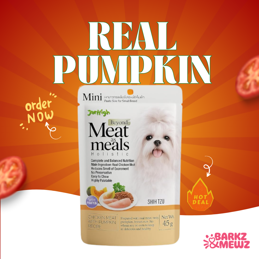 Jerhigh MAM 45g (Pack of 6) Pumpkin Recipe