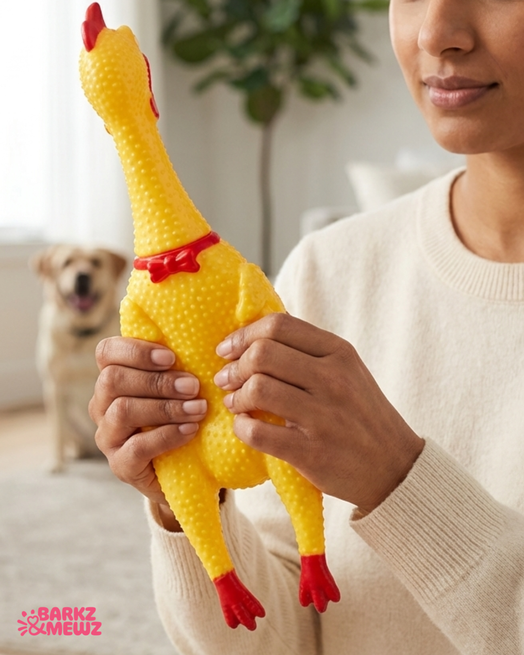 Pet Toy Squeaky Chicken – Small view 4