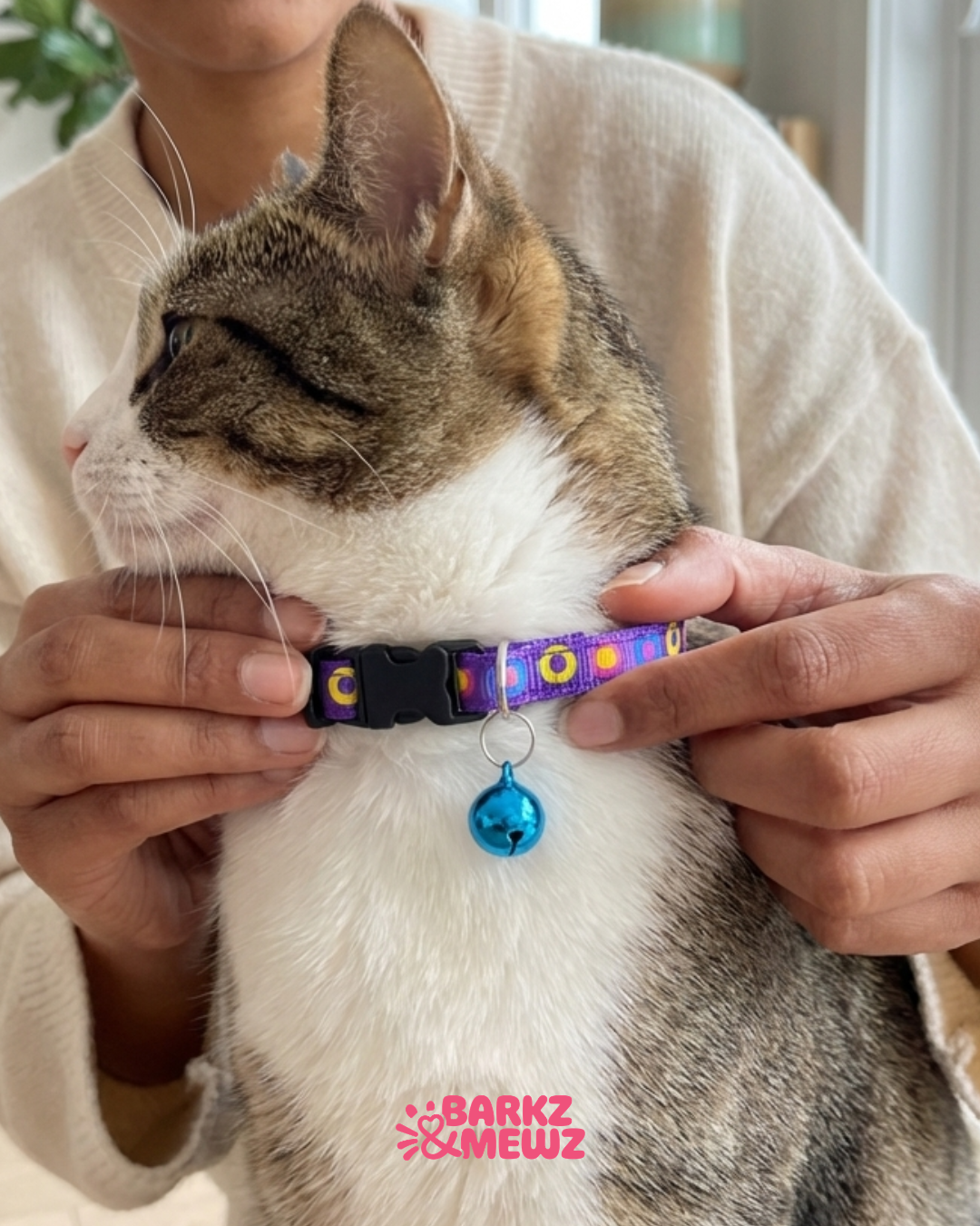Collar – Soft Nylon + Bell (S, 10mm) view 3