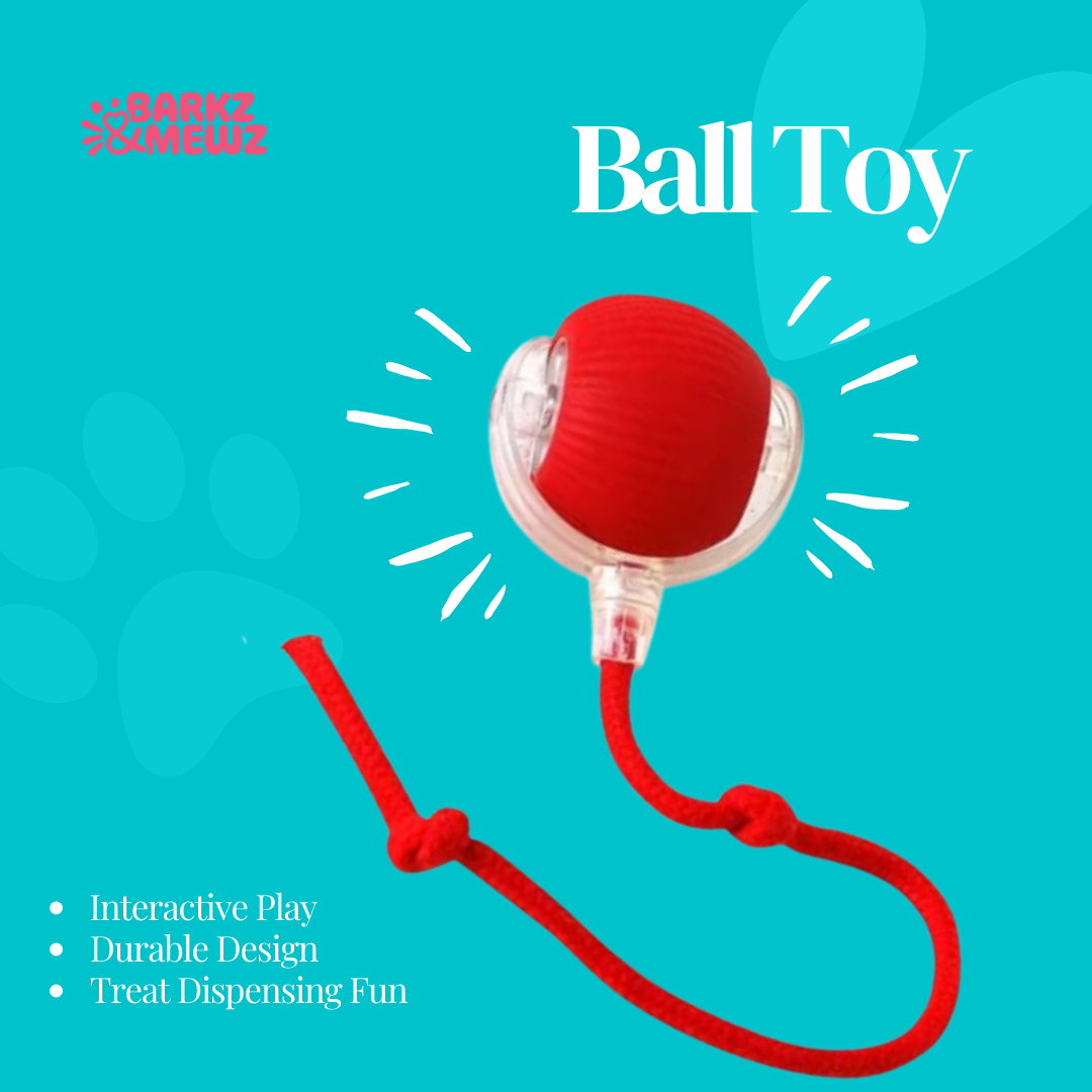 Cat Running Ball with String