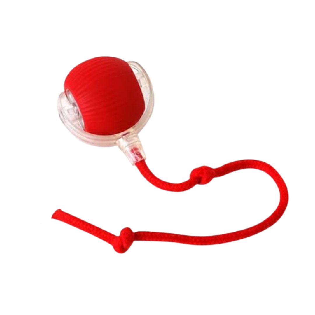 Automatic Sensor Running Ball(Red) with String ( Cat & Dog )
