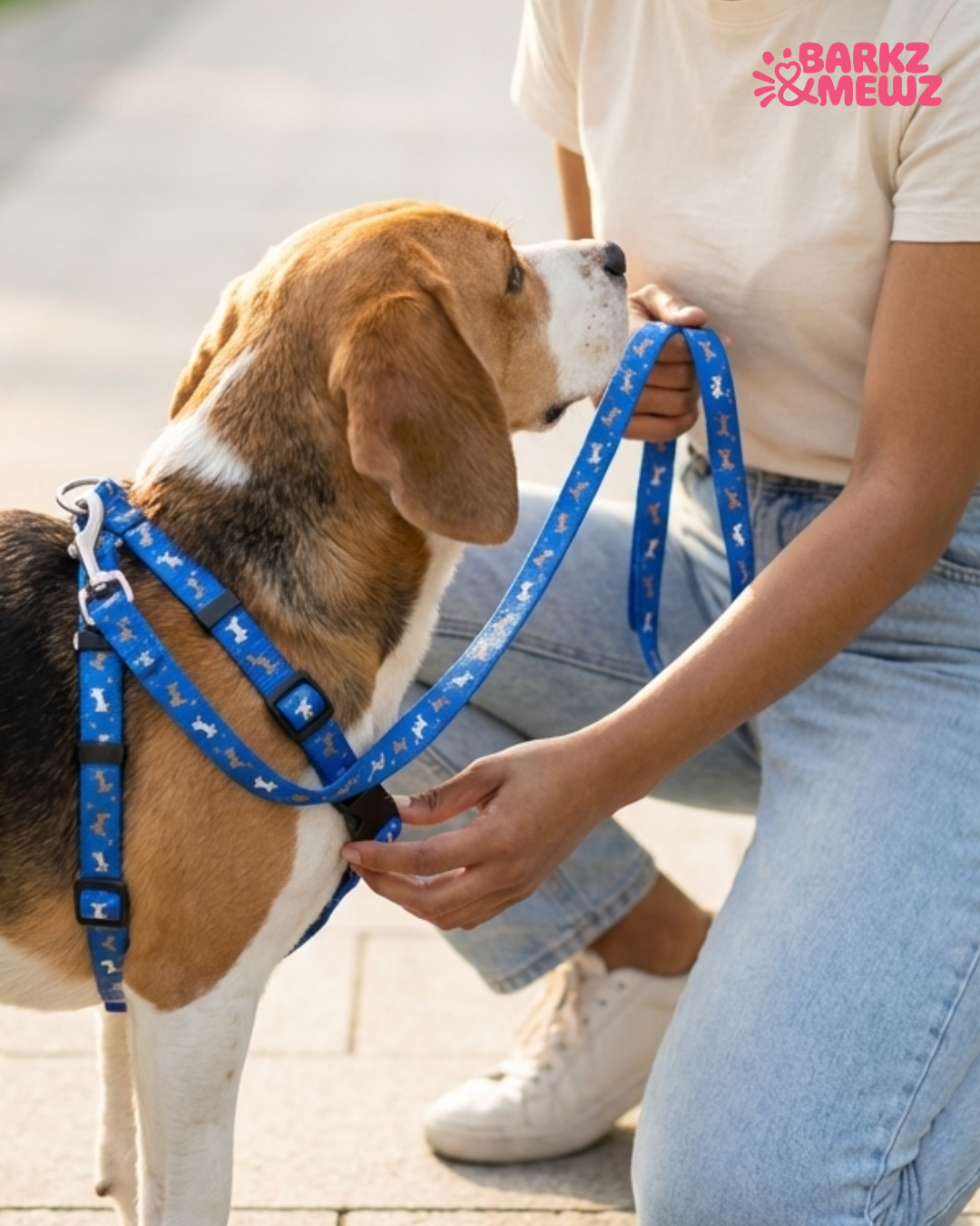Harness & Leash – Paw Print (S, 10mm) view 4
