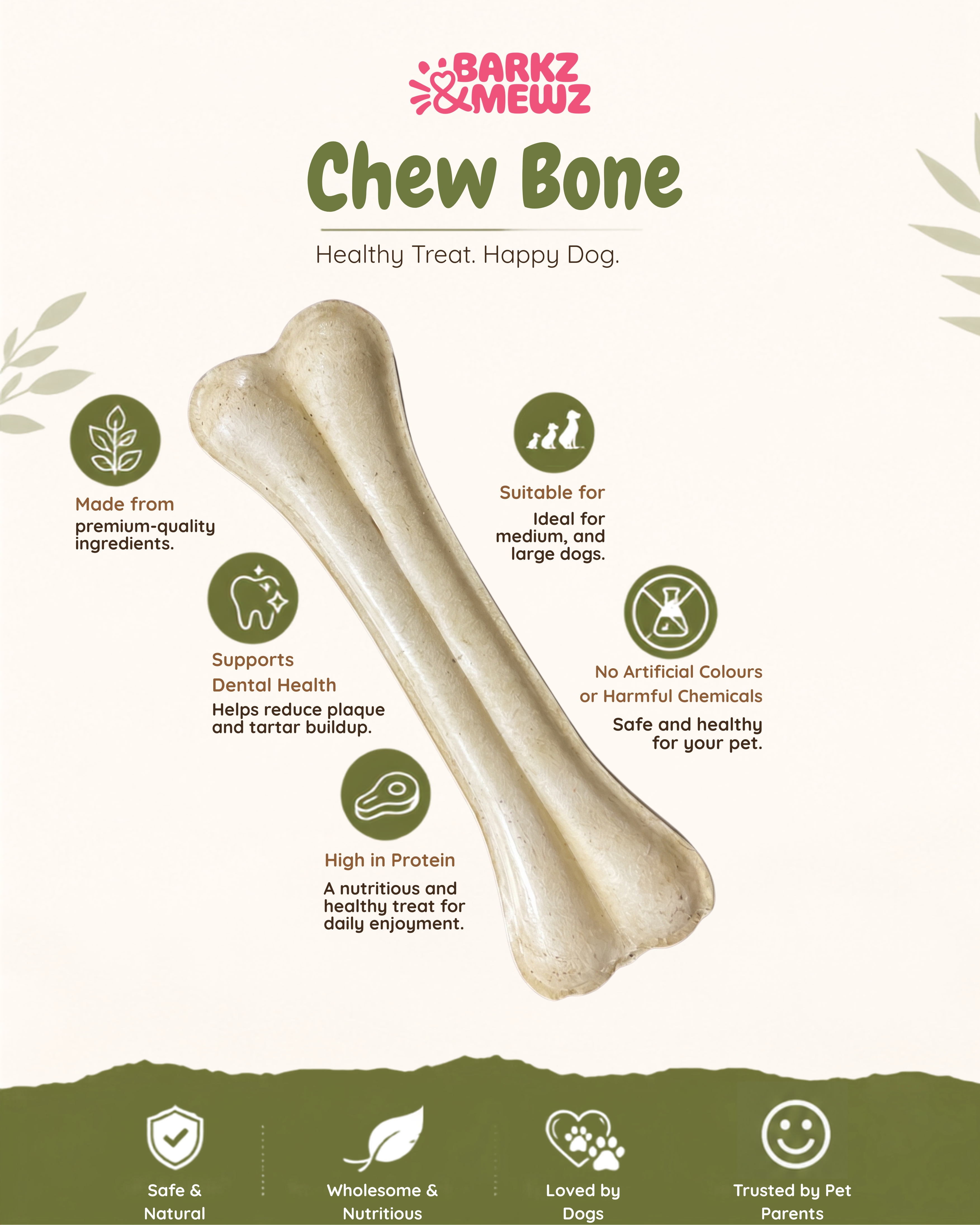 Premium Dog Chew Bone – 10 Inch (Pack of 1) view 2