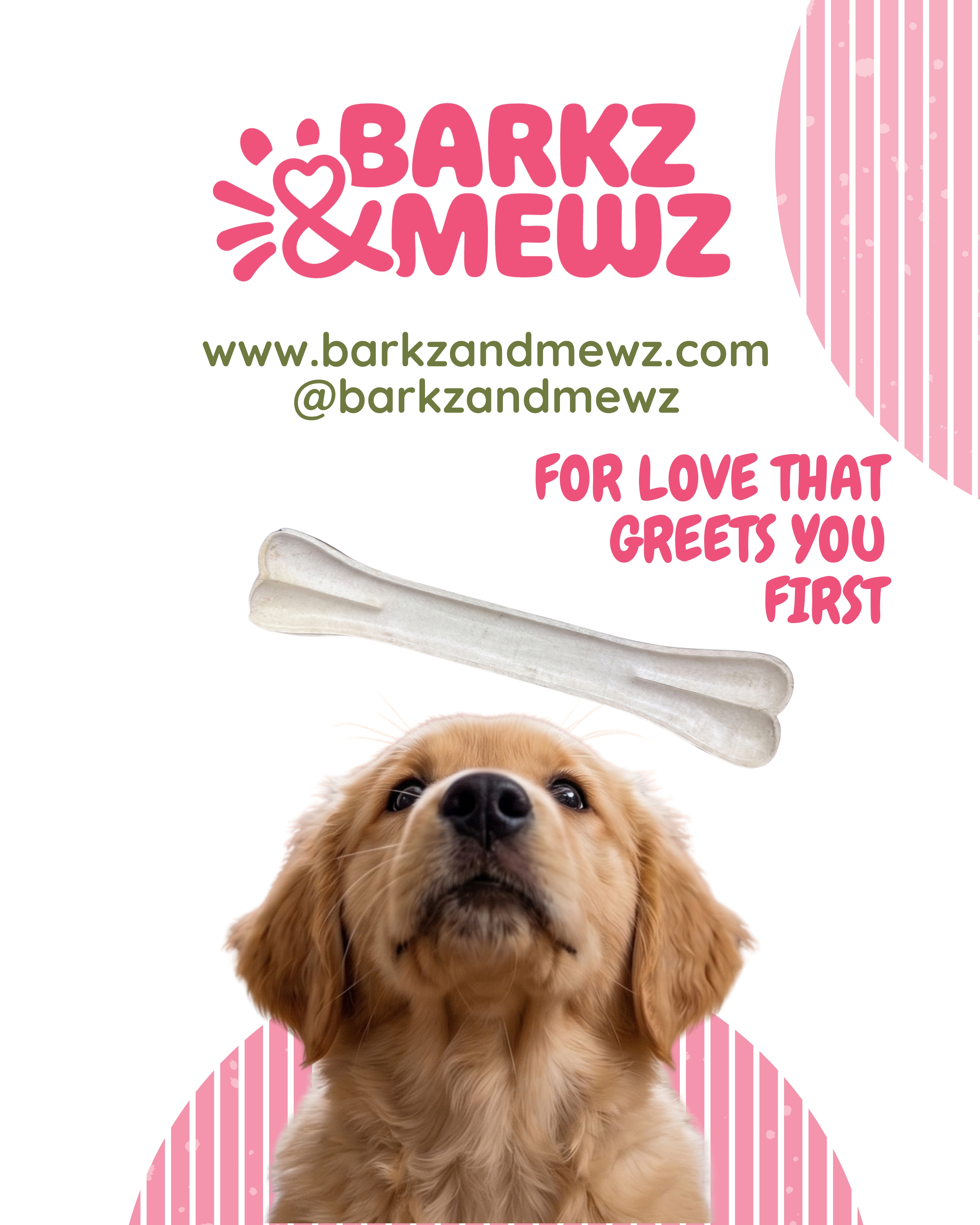 Premium Dog Chew Bone – 10 Inch (Pack of 2) view 5
